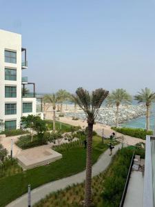 a palm tree in a park next to a beach at Address Beach Resort Fujairah - 2 bedroom apartment in Fujairah