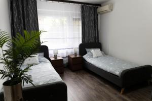 een slaapkamer met 2 bedden en een potplant bij Komló Szíve Apartman in Komló