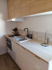 a kitchen with a sink and a counter top at L’UNDERGROUND Studio Hyper-Centre in Carcassonne