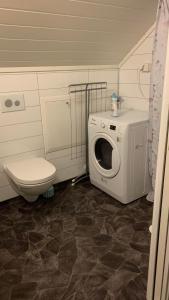 een badkamer met een wasmachine en een toilet bij Bright and cozy apartment 1.5km from city centre in Aurland