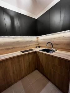 a kitchen with black cabinets and a sink at Ema Residence Pale Jahorina in Pale