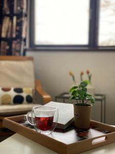 bandeja con una taza de té y una planta sobre una mesa en Mountain Heaven Apartment, en Kolašin 7 fotos más