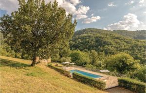 an outdoor swimming pool in a field with a tree at Umbriaverde 1 in Valfabbrica +16 photos