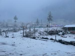 ein schneebedecktes Feld mit Bäumen und einem Gebäude in der Unterkunft Breathe Inn in Kasol