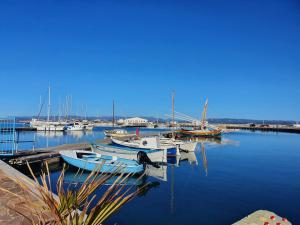 a group of boats docked in a harbor at Sky and Sea Apartment Calasetta in Calasetta