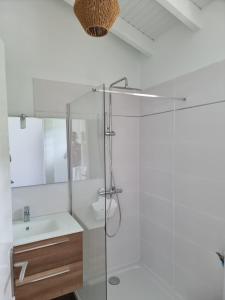 a bathroom with a shower and a sink and a mirror at Les hauts du Morne Larcher in Quartier du Fond Fleuri