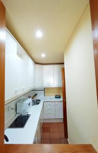 A kitchen or kitchenette at Plaza Andalucía Edificio Enebro 4-6 pax