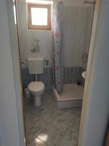 a small bathroom with a toilet and a shower at Apartmani Tia in Drenje