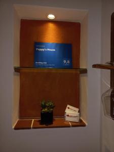 a shelf with a box and a plant on it at Poppy's House in Casole dʼElsa +38 photos