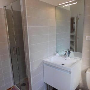 La salle de bains blanche est pourvue d'un lavabo et d'une douche. dans l'établissement Appartement situé en centre ville de Saint Aignan, à Saint-Aignan