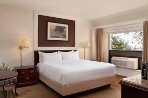ein Hotelzimmer mit einem Bett und einem Fenster in der Unterkunft The Grand Summit Hotel in Summit