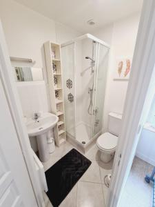 a bathroom with a shower and a toilet and a sink at Maison 2 pas du centre ville et proche plage in Courseulles-sur-Mer