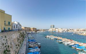 a group of boats are docked in a river at Amazing Apartment In Gallipoli With 1 Bedrooms in Foča