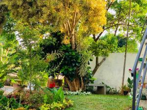 Giardino di Heaven Breeze