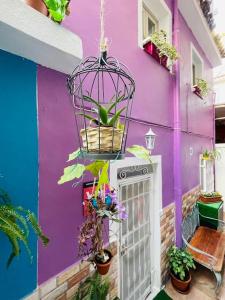 una casa viola con gabbia per uccelli e piante di Casa Dionea, Puerto De La Cruz a Puerto de la Cruz