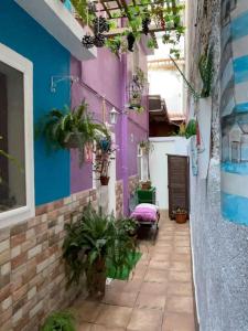 un vicolo con piante e una parete viola di Casa Dionea, Puerto De La Cruz a Puerto de la Cruz