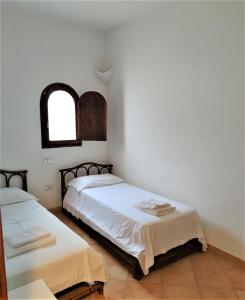 2 Betten in einem Zimmer mit Fenster in der Unterkunft LE VILLETTE DI TERRANOVA in Lampedusa