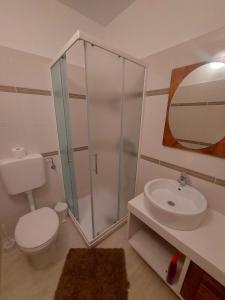a bathroom with a shower and a toilet and a sink at Apartments Božena in Pakoštane