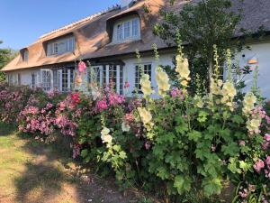 a garden of flowers in front of a house at Rane Ladegaard in Ebeltoft