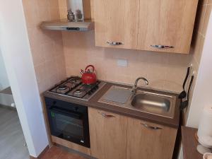 Kuchyňa alebo kuchynka v ubytovaní House Vittone Venaria Reale