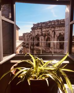 a plant in a window with a view of the acropolis at Atipyc Nimes in Nîmes