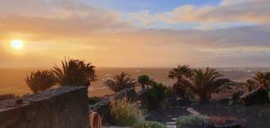 La AsomadaにあるLuxury studio, sea view, poolの椰子の木と壁のある砂漠に沈む夕日