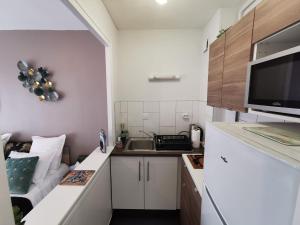 una pequeña cocina con fregadero y microondas en L'Aixotique, en Aix-les-Bains