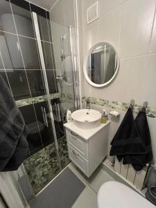 尚貝里的住宿－Superbe appartement au hypercentre de Chambéry，带淋浴、盥洗盆和卫生间的浴室