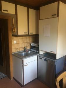 Kuchyňa alebo kuchynka v ubytovaní Apartment Peterl