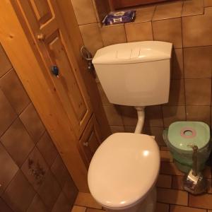 Kúpeľňa v ubytovaní Apartment Peterl