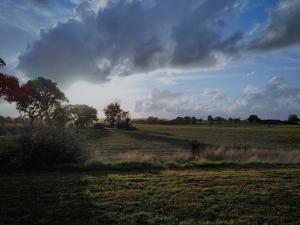 HollingstedtにあるHof Ruemland Ferienwohnungenの雲空の草原