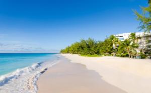 a beach with palm trees and the ocean at Bougainvillea Barbados in Christ Church