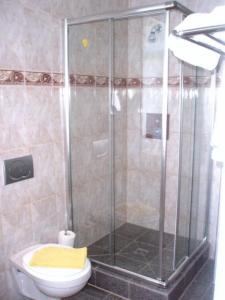 eine Duschkabine im Bad mit WC in der Unterkunft Hotel Elite Heidelberg in Heidelberg