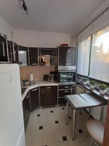 Il comprend une petite cuisine équipée d'une table et d'un réfrigérateur. dans l'établissement MK Apartament I, à Rzeszów