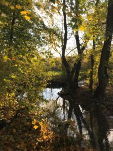 Fotografie z fotogalerie ubytování La Suite Cosy - Votre Pause Arborée v destinaci La Bruyère