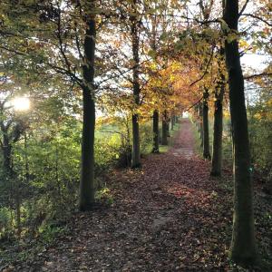 Fotografie z fotogalerie ubytování La Suite Cosy - Votre Pause Arborée v destinaci La Bruyère