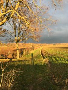 Fotografie z fotogalerie ubytování La Suite Cosy - Votre Pause Arborée v destinaci La Bruyère