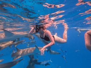 a woman in the water with a group of sharks at Araamview in Hulhumale