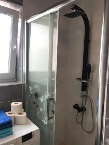 La salle de bains est pourvue d'une douche avec une porte en verre. dans l'établissement Fok Flat Sibiu, à Turnişor