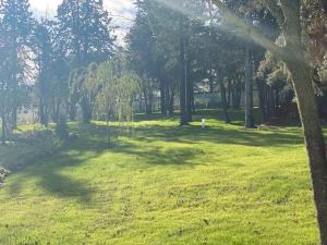 un parque con césped verde y árboles a la sombra en Villa Fai Bei Sogni-Green Bed & Breakfast, en Coriano
