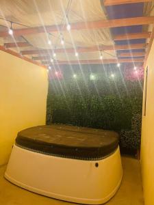 a room with a green wall and a toilet at Finca Chavez in Ensenada