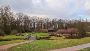 Vakantiehuis in een prachtige bosrijke omgeving in Twente! في Bornerbroek: جسر فوق بركة في حديقة فيها اشجار