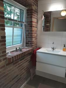 La salle de bains est pourvue d'un lavabo et d'une fenêtre. dans l'établissement 'T Wolthoes, à Vlagtwedde
