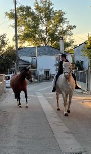 a person riding a horse down a street at Casa Tania in Ligonde