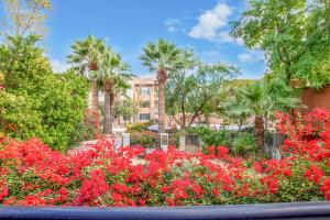 un jardin avec des fleurs rouges devant un bâtiment dans l'établissement Desert Rose Villas - Secluded One Bedroom in Old Town Scottsdale, Arizona, à Scottsdale