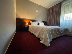 ein Hotelzimmer mit einem Bett und einem Fenster in der Unterkunft Hotel Athos in Bukarest