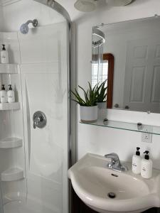 een badkamer met een wastafel en een douche met een spiegel bij The Archie & Isidore Hotel in Chéticamp