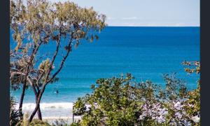 a view of a beach with a person in the ocean at Sundeck Gardens in Maroochydore