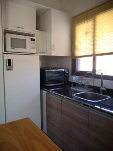 a kitchen with a sink and a microwave and a refrigerator at OLASCOAGA DOS monoambiente in Mendoza