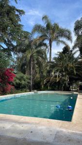a swimming pool with palm trees in a park at Diva gues del Pereyra Sur in Villa Elisa